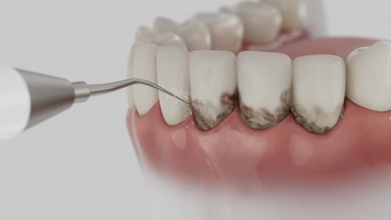 Reliable Dental contractor in New Bern, NC by Dentist Open Now